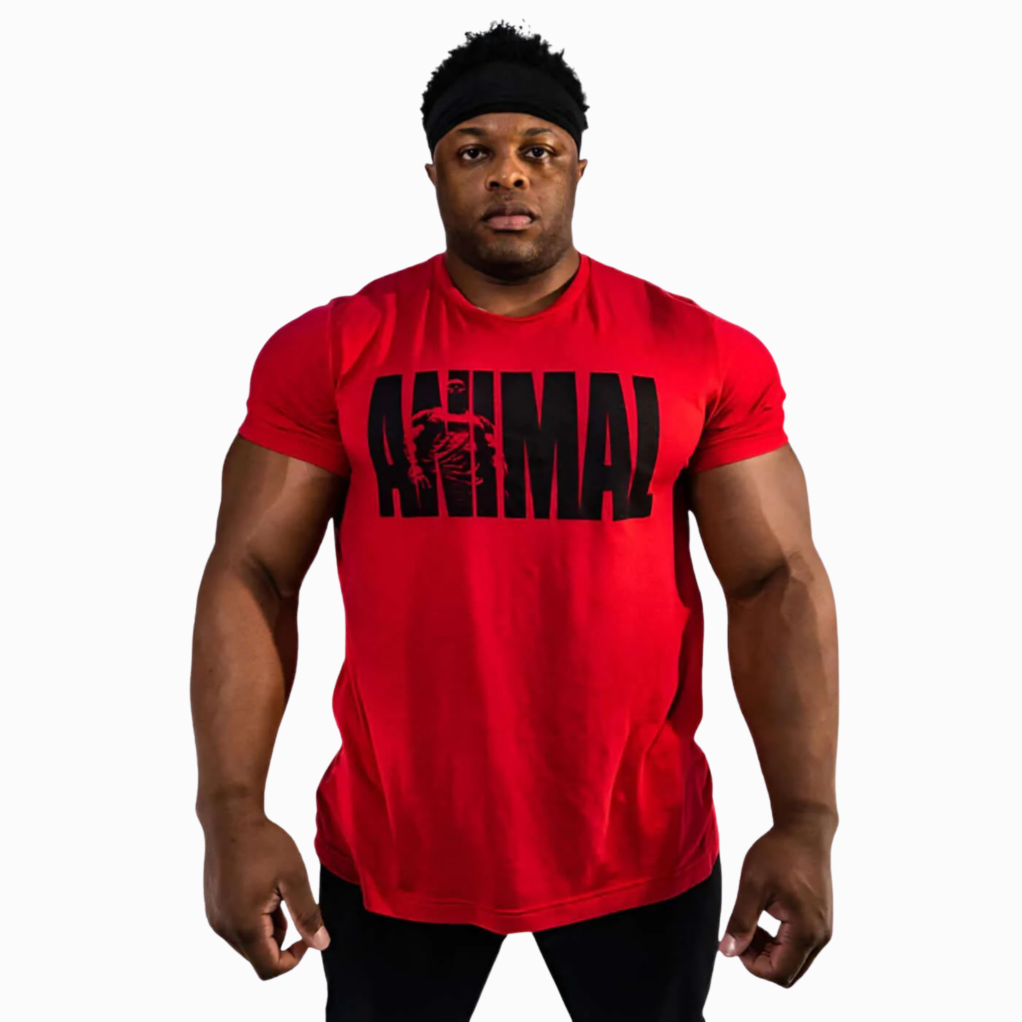 animal-t-shirt-red-xl